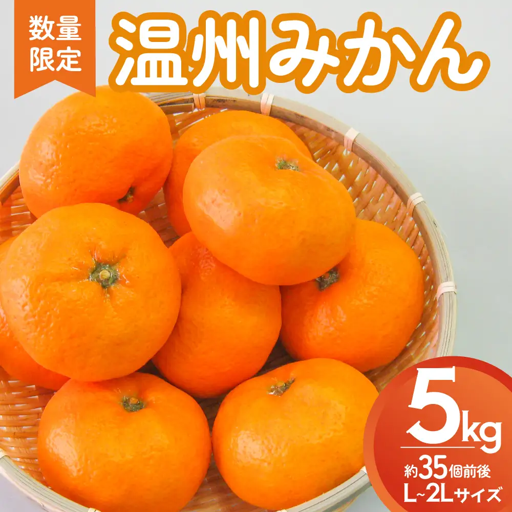 多気町産 温州みかん 5kg L～2Lサイズ 約35個前後 蜜柑 みかん ミカン 柑橘類 柑橘 フルーツ 果物 くだもの 人気 美味しい  三重県 多気町 GF-04