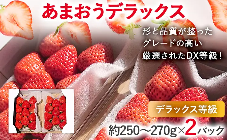 【2027年発送先行予約】あまおうデラックス（約250‐270g x2パック） お取り寄せグルメ お取り寄せ 福岡 お土産 九州 福岡土産 取り寄せ グルメ 福岡県