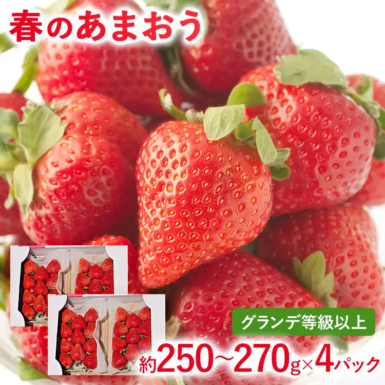 【2027年先行予約】春のあまおう(G規格以上約250‐270g x 4パック) お取り寄せグルメ お取り寄せ 福岡 お土産 九州 福岡土産 取り寄せ グルメ 福岡県
