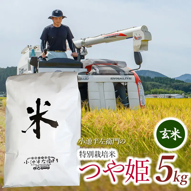 数量限定 【令和7年産】 山形県庄内産 小池半左衛門のお米 特別栽培米 つや姫 玄米 5kg (5kg×1袋)　