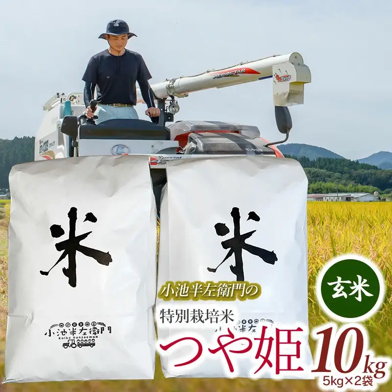 数量限定 【令和7年産】 山形県庄内産 小池半左衛門のお米 特別栽培米 つや姫 玄米 10kg (5kg×2袋)