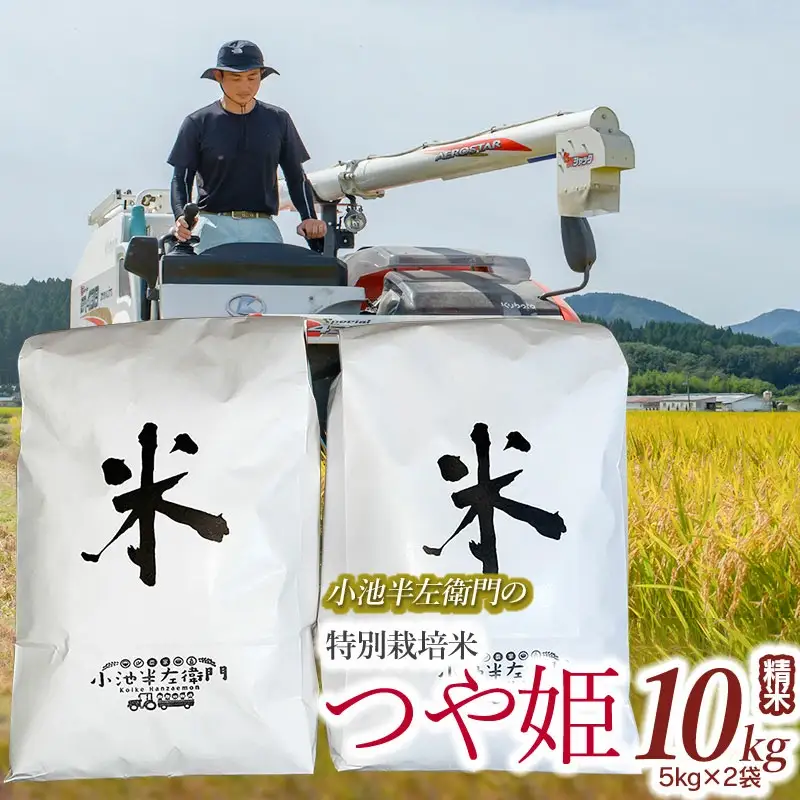数量限定 【令和7年産】 山形県庄内産 小池半左衛門のお米 特別栽培米 つや姫 精米 10kg (5kg×2袋)