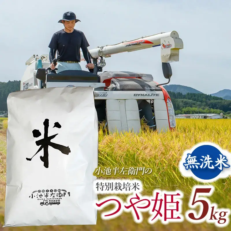 数量限定 【令和7年産】 山形県庄内産 小池半左衛門のお米 特別栽培米 つや姫 無洗米 5kg (5kg×1袋)