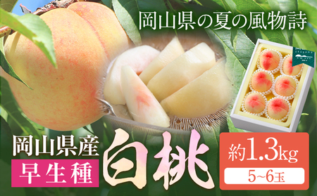 桃 岡山白桃  約1.3kg 晴れの国おかやま館(漂流岡山) ) 