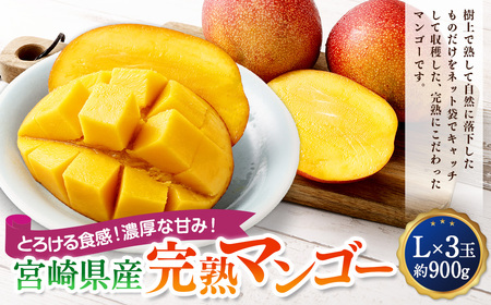 ＜宮崎県産完熟マンゴー L×3玉（約900g）＞2026年4月中旬～7月下旬までに順次出荷【MM-f-003】