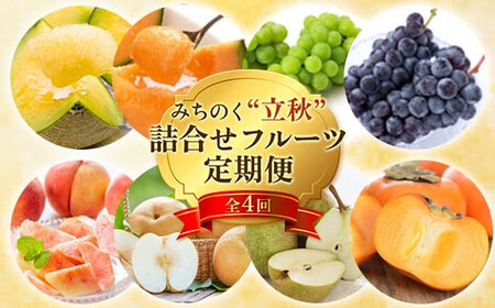 ≪先行予約令和8年度発送≫ みちのく“立秋”詰合せフルーツ定期便 全4回 赤肉メロン メロン 赤肉 デザート フルーツ 果物 くだもの 果実 食品 山形県 FSY-2474