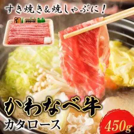 かわなべ牛カタロース450g【配送不可地域：離島】【1185836】