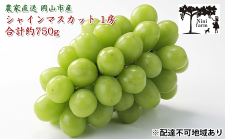 ぶどう 2026年 先行予約 【平均糖度20度】農家こだわりの 最高ランク シャイン マスカット 1房 約750g 特秀クラス