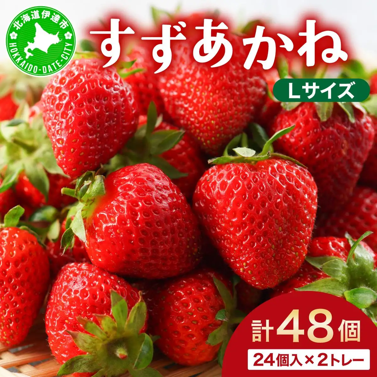 ＜先行予約＞ 北海道 伊達市 いちご すずあかね Lサイズ 24個入り 2トレー 48個【55250945】