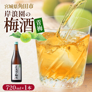 【宮城県角田市】岸浪園の梅酒　青梅　720ml×1本 梅酒