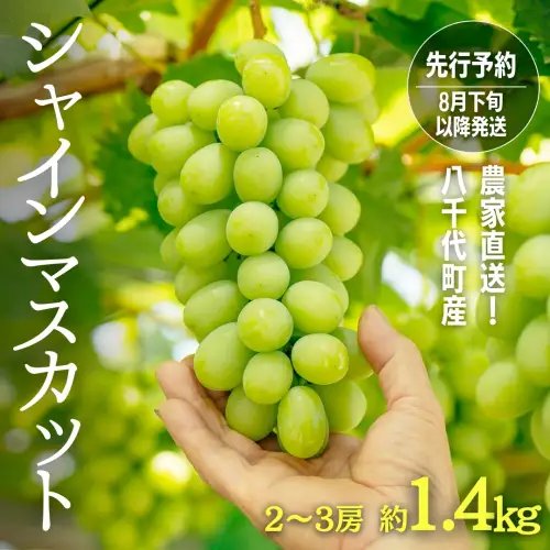 【先行予約】シャインマスカット 約1.4kg 2～3房