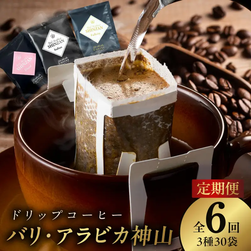 ドリップコーヒー バリ アラビカ神山 3種30袋 定期便 全6回【毎月配送コース】