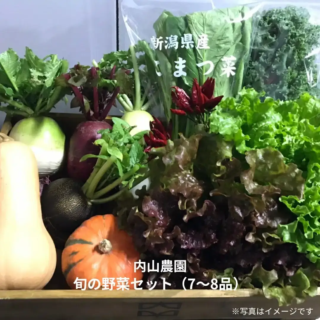 旬の野菜セット(7~8品) 季節の野菜 詰合せ [内山農園] 【011S166】