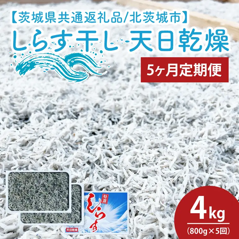 【5ヶ月定期便】しらす干し 天日乾燥800g（400g×2）【茨城県共通返礼品/北茨城市】(HY-15)