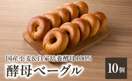国産小麦＆自家培養酵母100％　酵母ベーグル10個 ベーグルセット プレーン ベーグルパン パンベーグル もちもちベーグル  酵母 ベーグル 065-09