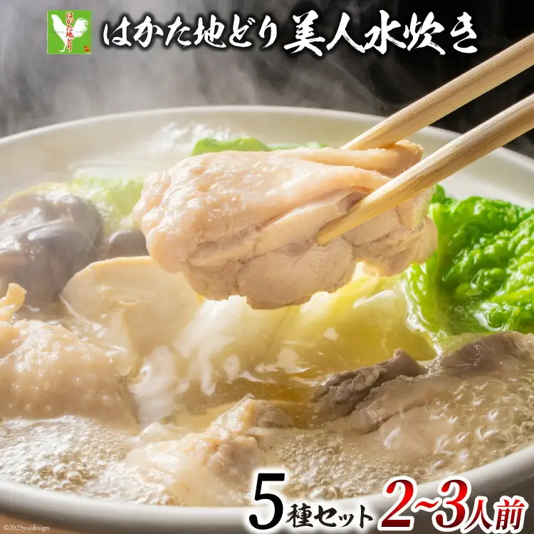 はかた地どり 美人水炊きセット 鶏肉2種 スープ 麺 コラーゲン 計5種 2～3人前 [MEAT PLUS 福岡県 筑紫野市 21760711]