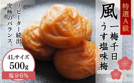 一梅千日うす塩味梅（塩分6％） 「風」 A級4Lサイズ500g / 和歌山県 田辺市 紀州南高梅 南高梅 梅干し 梅干 梅 うめ A級品 4L 肉厚 お米 おにぎり 焼酎 梅酒 健康 うす塩味 塩分6％ ご飯のお供 【umm019】
