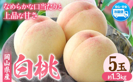 桃 岡山白桃 約1.3kg 晴れの国おかやま館(フルーツランド岡山) 