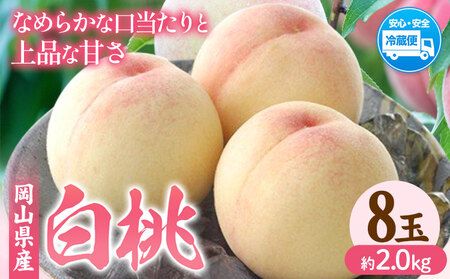 桃 岡山白桃 約2.0kg 晴れの国おかやま館(フルーツランド岡山) 