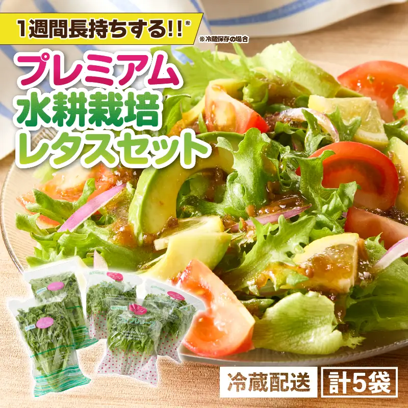 2257 洗わずに食べられる プレミアム 水耕栽培 レタス 5袋 KN064-001 野菜