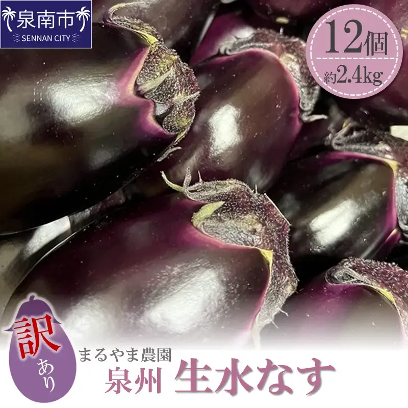まるやま農園 泉州生水なす訳あり品【087D-034】