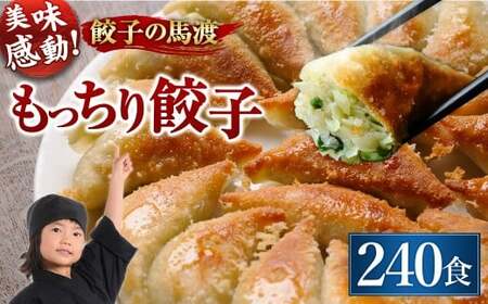 【宮崎空港で大人気!】＜馬渡のもっちり餃子240個＞翌月末迄に順次出荷 餃子の馬渡 ぎょうざ ギョーザ ギョウザ 焼餃子 宮崎餃子 グルメ 国産 特産品 たかなべ 宮崎県 高鍋町 冷凍【TVで話題沸騰！】【c1112_mw】