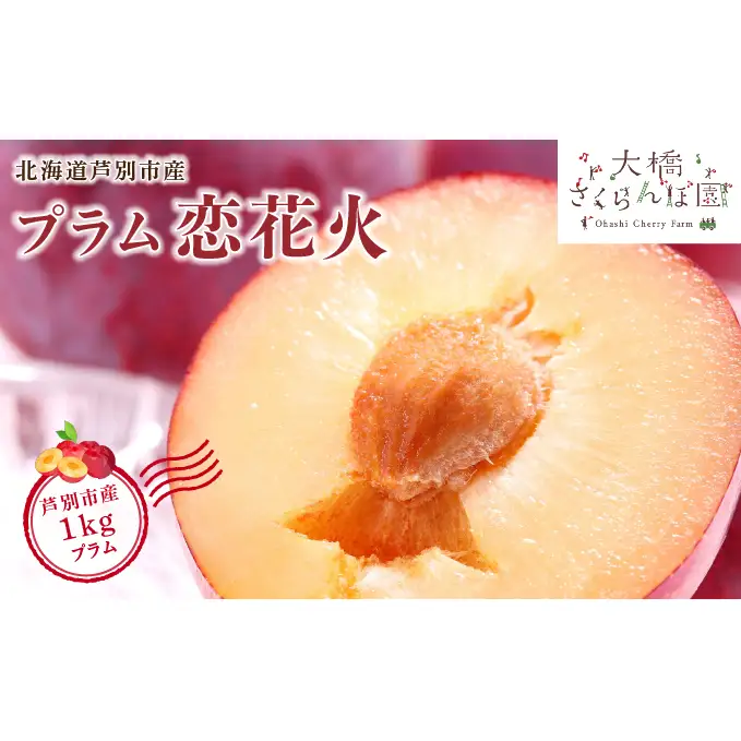 【 先行受付 】 プラム 恋花火 1kg フルーツ 果物 くだもの 旬のフルーツ 旬の果物 季節のフルーツ 季節の果物 北海道 芦別市