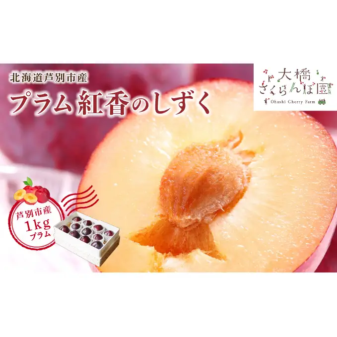 【 先行受付 】プラム 紅香のしずく 1kg 北海道産 すもも フルーツ 果物 旬のフルーツ 旬の果物 くだもの 北海道 芦別市