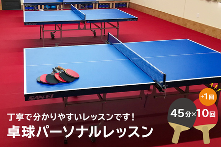 卓球パーソナルレッスン（45分×11回）【0075-003】岐阜県 可児市 スポーツ レッスン 体験 回数券 パーソナル  初心者 室内 大人 子供