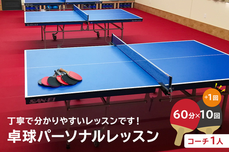 卓球パーソナルレッスン（60分×11回）コーチ１人【0075-004】岐阜県 可児市 スポーツ レッスン 体験 回数券 パーソナル  初心者 室内 大人 子供