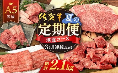 【定期便】 牛肉 佐賀牛 夏の定期便 NAB104 牛肉