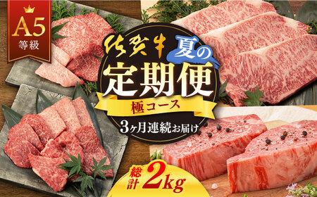 【定期便】 牛肉 佐賀牛 夏の定期便 NAB105 牛肉