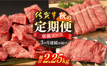 【定期便】 牛肉 佐賀牛 秋の定期便 NAB106 牛肉