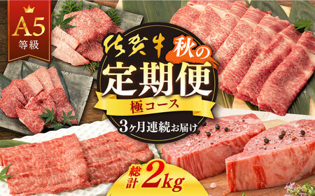 【定期便】 牛肉 佐賀牛 秋の定期便 NAB107 牛肉