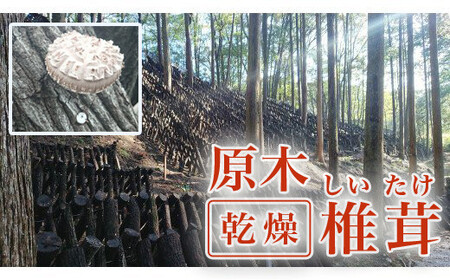 原木 乾燥 椎茸 （ 3袋 ＋ スライス １袋 ）出荷期間：2023年11月下旬? 農林水産大臣賞 どんこ 7000円 干し椎茸 原木 原木椎茸 原木栽培 乾燥 栽培 シイタケ栽培 干し 椎茸 しいたけ 農林水産大臣 共進会 スライス 薄切り 愛媛 愛南 産地直送 国産 農家直送 なんぐん市場 数量限定 なんぐん 市場 限定 NPO 法人 ハート スープ カレー パテ うす切り ｼｲﾀｹ