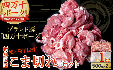 ◆丁度いい1.0㎏◆四万十町産◆新鮮国産ブランド豚こま切れセット 500g×2袋 国産豚肉 こま切れ 冷凍 小分け ／Adf-A24
