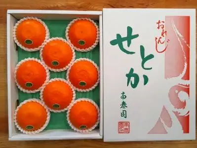 化粧箱 柑橘の大トロ ハウス せとか 厳選 8玉入