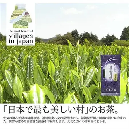 【毎月定期便】奥八女星野村 深蒸し高級煎茶(深蒸し茶)100g×1袋 全6回_飲料・ドリンク 八女茶 茶 日本茶  定期便 定期便  _【4008833】