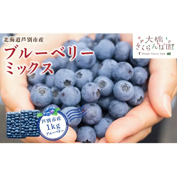 【 先行受付 】ブルーベリー ミックス 1kg 冷蔵 果物 くだもの フルーツ 旬の果物 旬のフルーツ 8品種 ミックスブルーベリー 大粒 小粒 北海道 芦別市