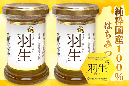 アイリスアグリ 純粋国産100%はちみつ (大郷町産) 羽生 110g×2本 [0159]