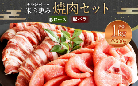 093-1023 ロース・バラ焼肉セット 約1kg