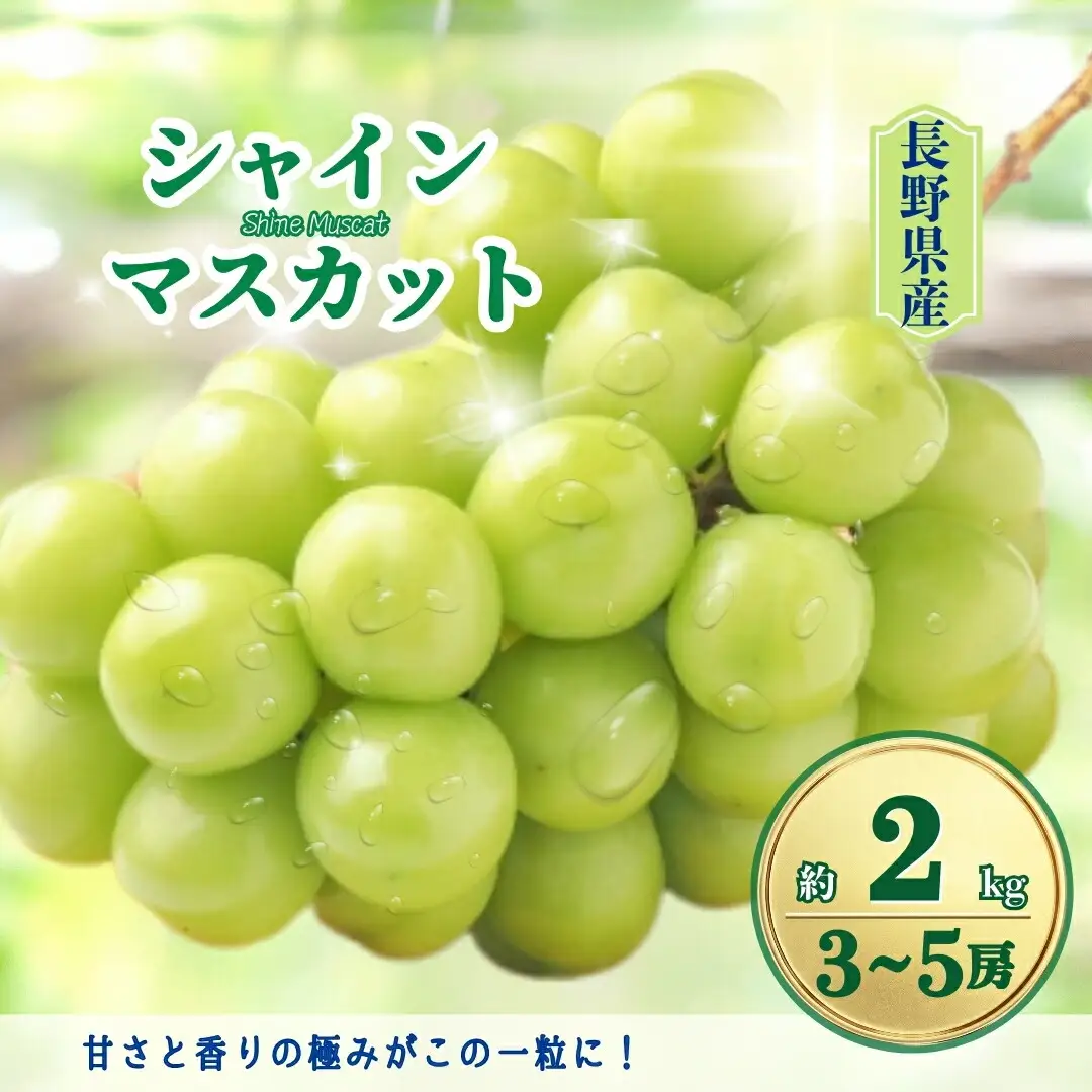【2026年先行予約】シャインマスカット 約2kg(3~5房)|シャインマスカット