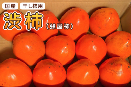 [先行受付] 渋柿 (蜂屋柿) [2026年10月より順次発送]【黒澤農園】｜干し柿用 かき カキ フルーツ 秋の味覚 農家直送 国産 甘楽町 数量限定 [0257]