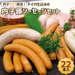 内子からり直送！ドイツ仕込みの「内子豚ソーセージ 5種セット」 計22本 ソーセージ 内子豚 ビーナー チーズ スパイシー グリルブルスト ミュンヘナーバイスブルスト 詰め合わせ セット グルメ SPF 国産 愛媛県【えひめの町（超）推し！（内子町）】(281-1)