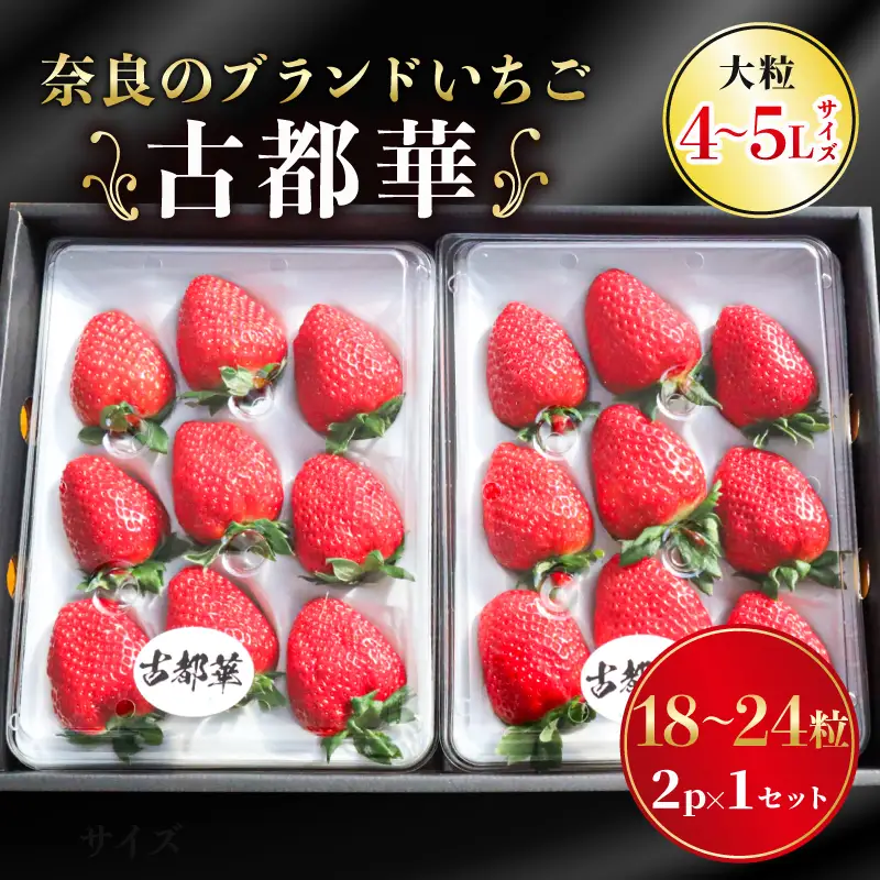 【先行予約】いちご 古都華 2パック 【2027年1月～順次発送】