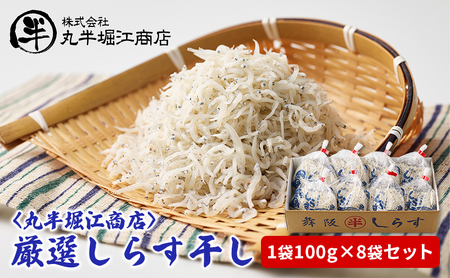 〈丸半堀江商店〉厳選しらす干し　1袋100g×8袋セット【配送不可：離島】 一匹一匹の大きさが揃った 個包装 