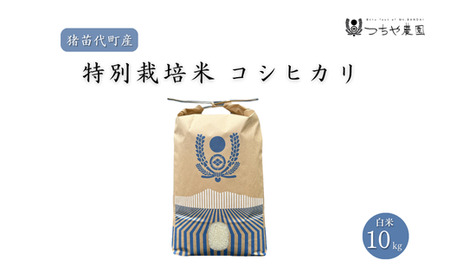 【令和7年度産】 つちや農園 猪苗代町産 特別栽培米コシヒカリ 10kg（精米）| お米 米 こしひかり