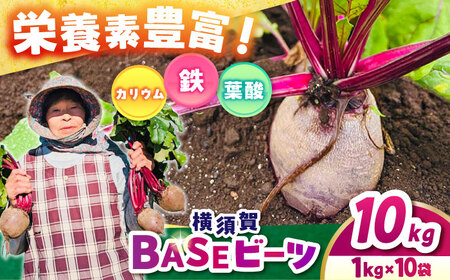 横須賀BASEビーツ 10kg（1kg×10袋）【ゆり子ファーム】 [AKCR002]