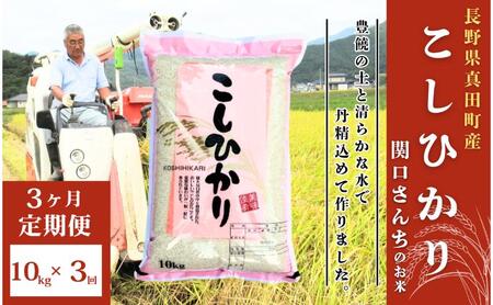 米 令和7年産 定期便 3ヵ月 コシヒカリ 関口さんちのお米 10kg お米 白米 ブランド米 定期 3回