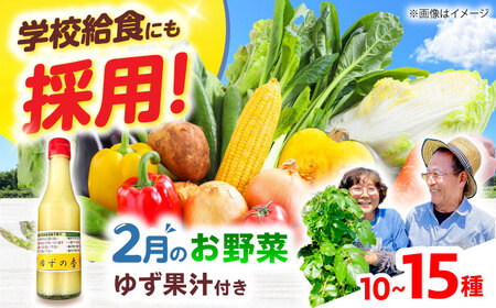高槻野菜詰め合わせ 2月（10〜15種）＆農家さん自家製ゆず果汁[AOCS004] 野菜